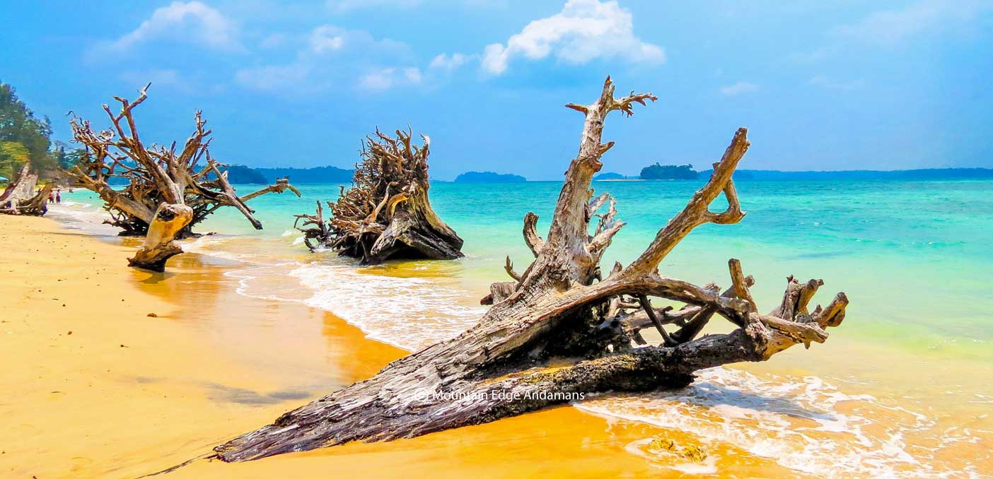 top-5-places-to-visit-andaman-islands