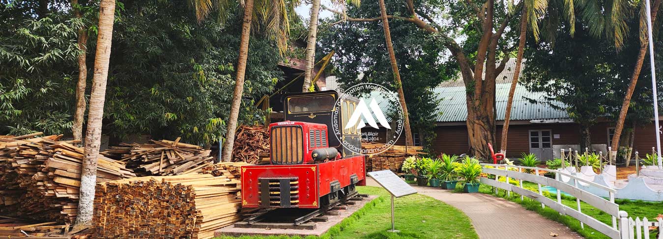chatham-saw-mill-andaman1