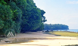 Rutland Island
